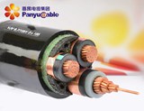 銅芯交聯(lián)鋼帶鎧裝護(hù)套電力電纜